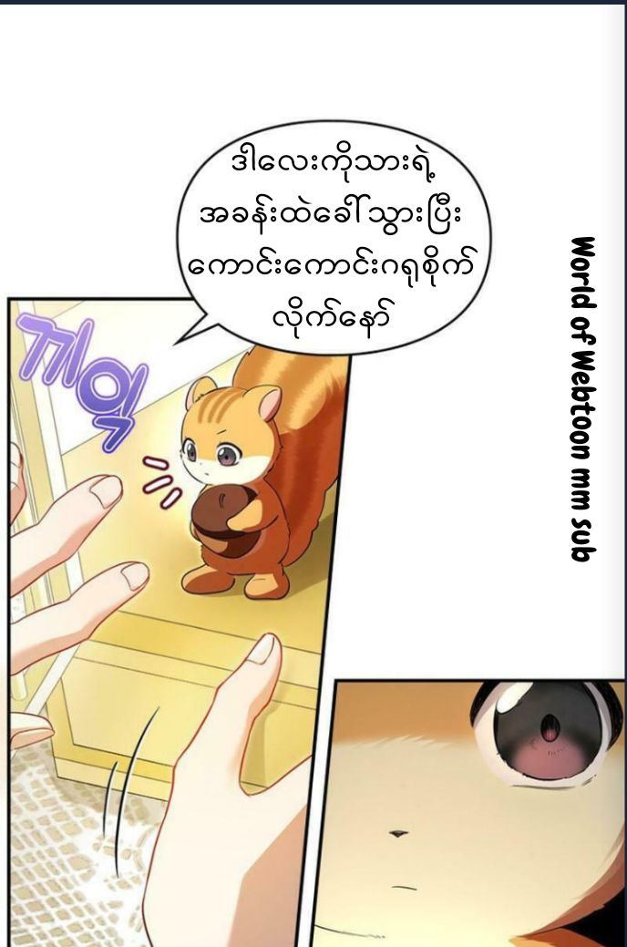 Content Image