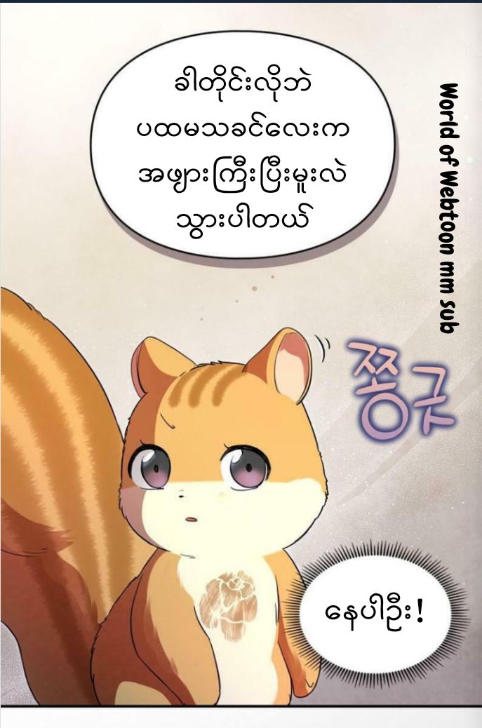 Content Image