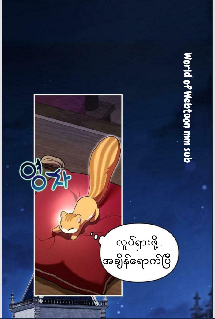 Content Image