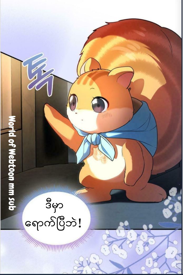 Content Image