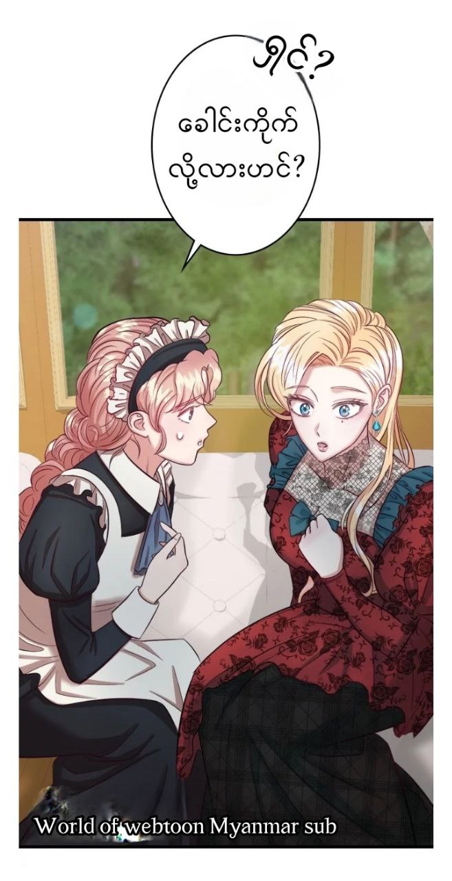Content Image