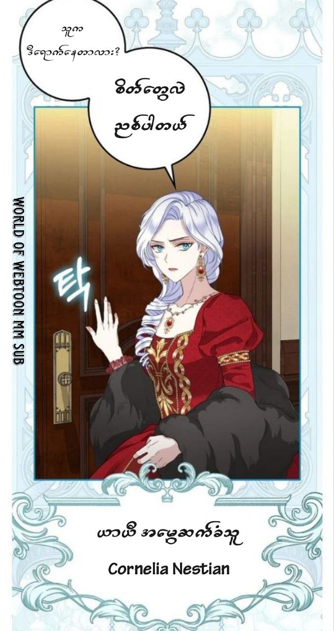 Content Image