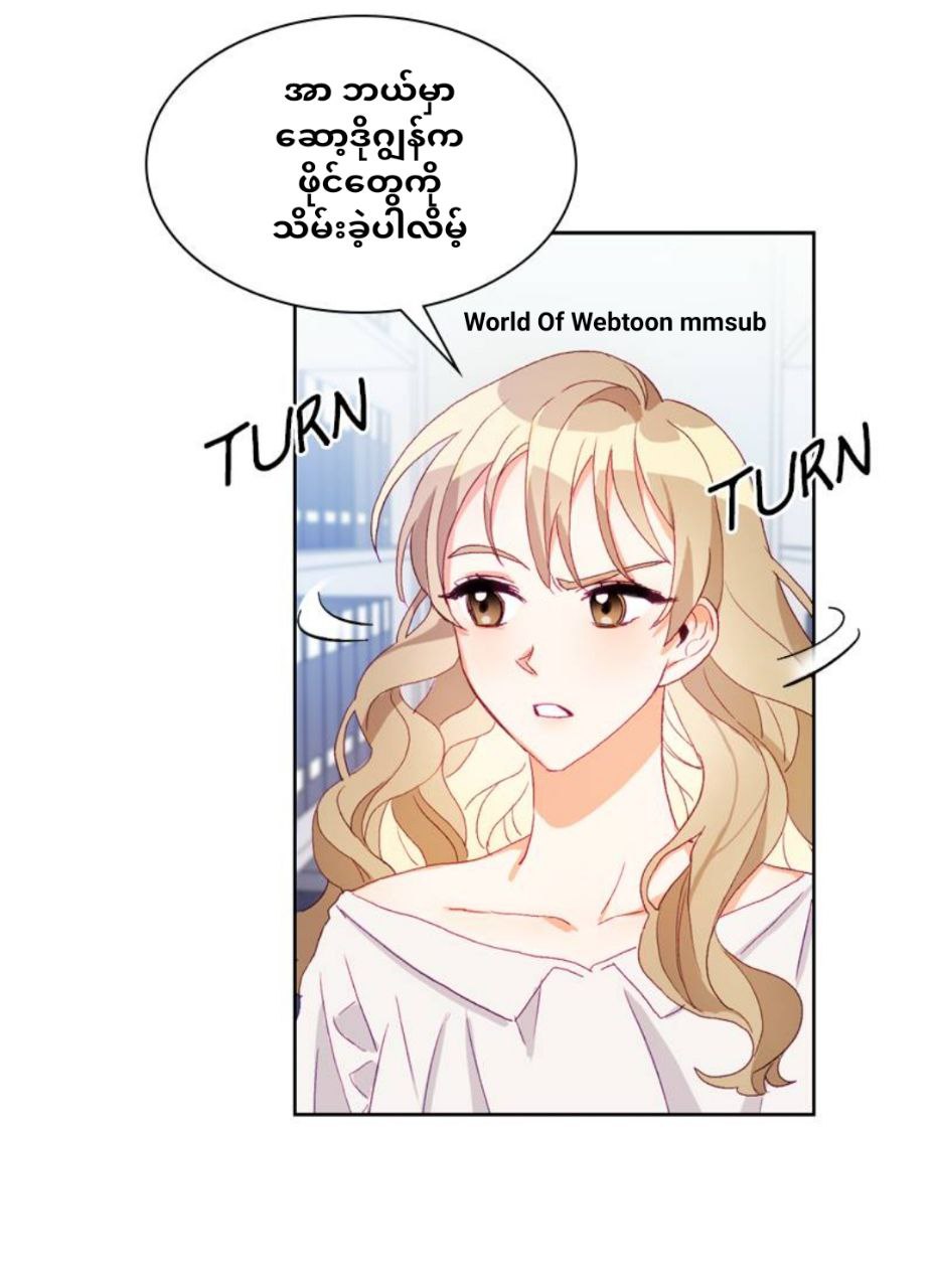 Content Image