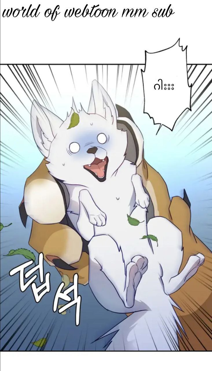 Content Image