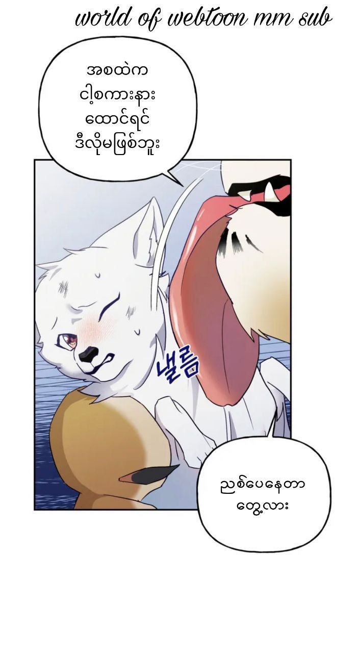Content Image