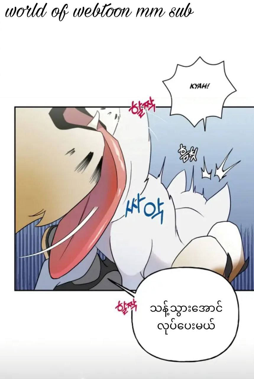 Content Image