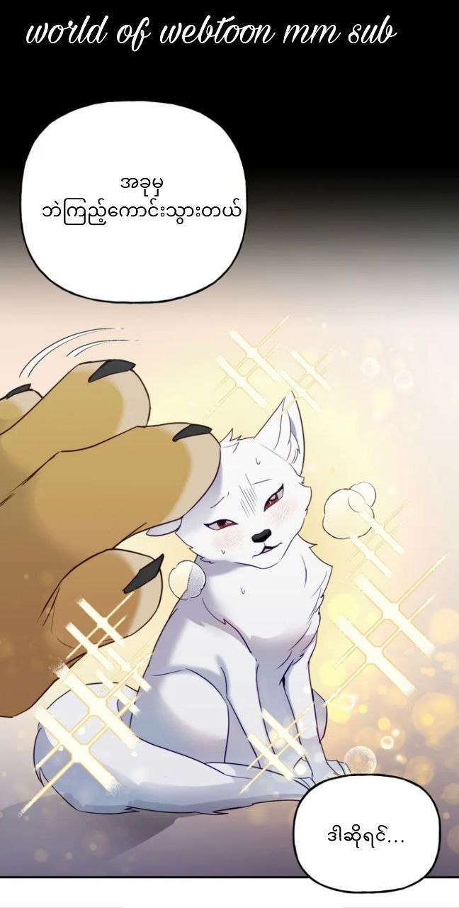 Content Image