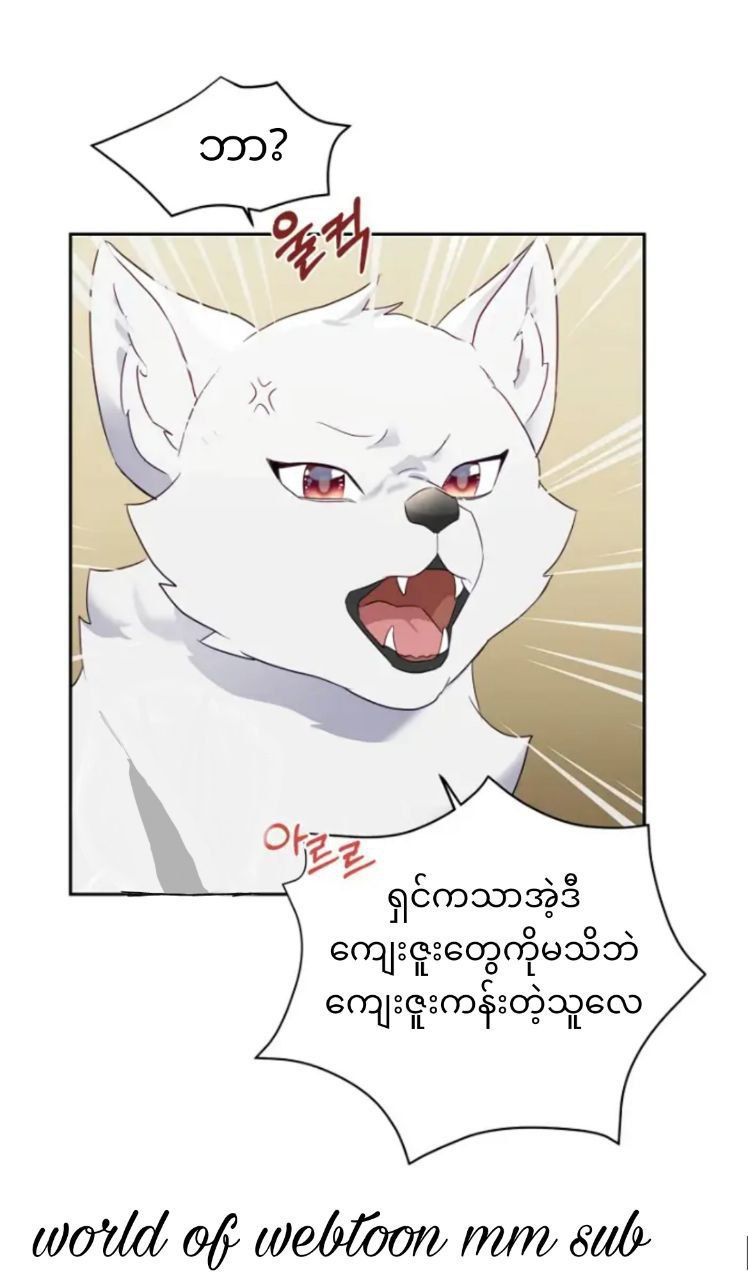 Content Image