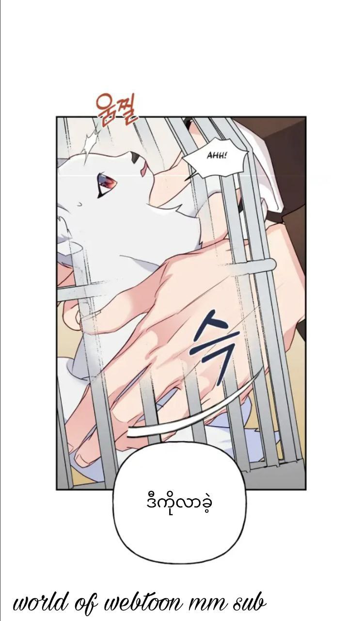Content Image