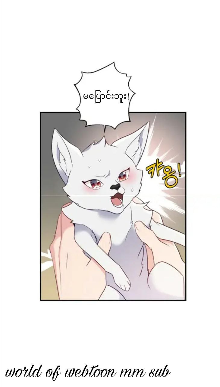 Content Image