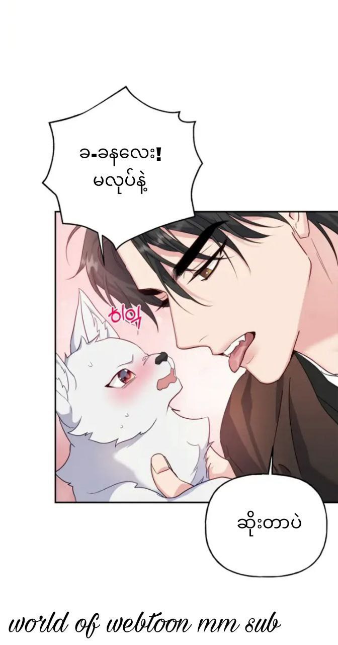 Content Image