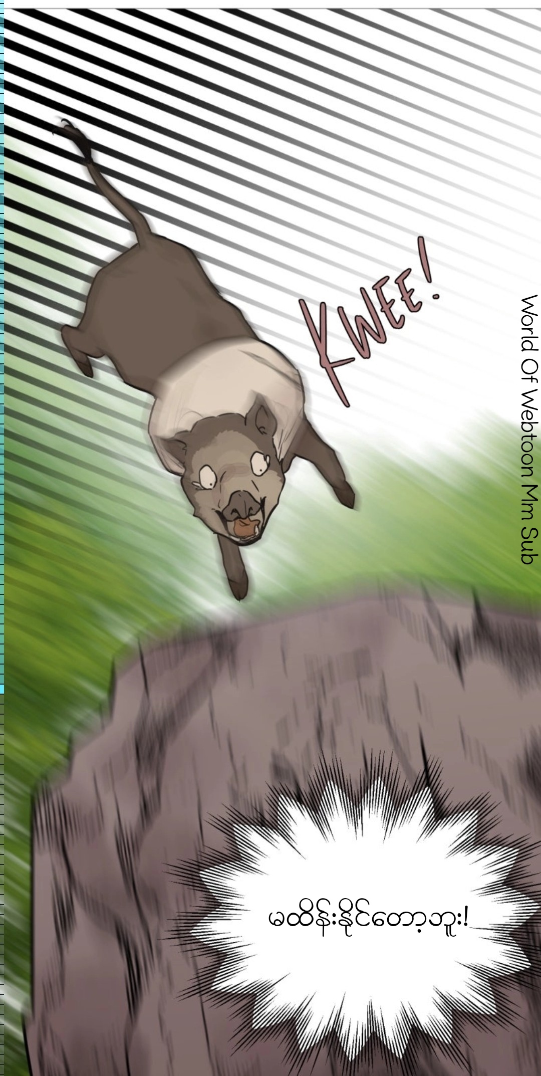 Content Image
