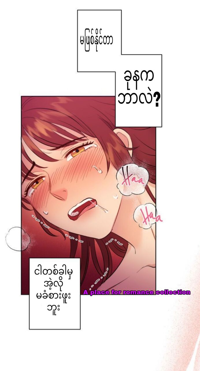 Content Image