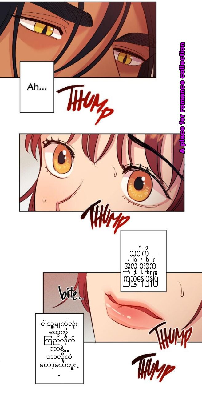 Content Image