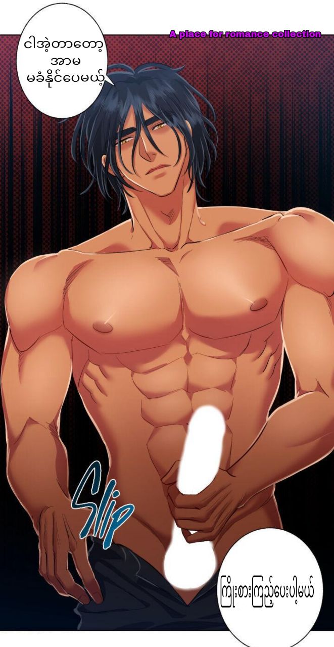 Content Image