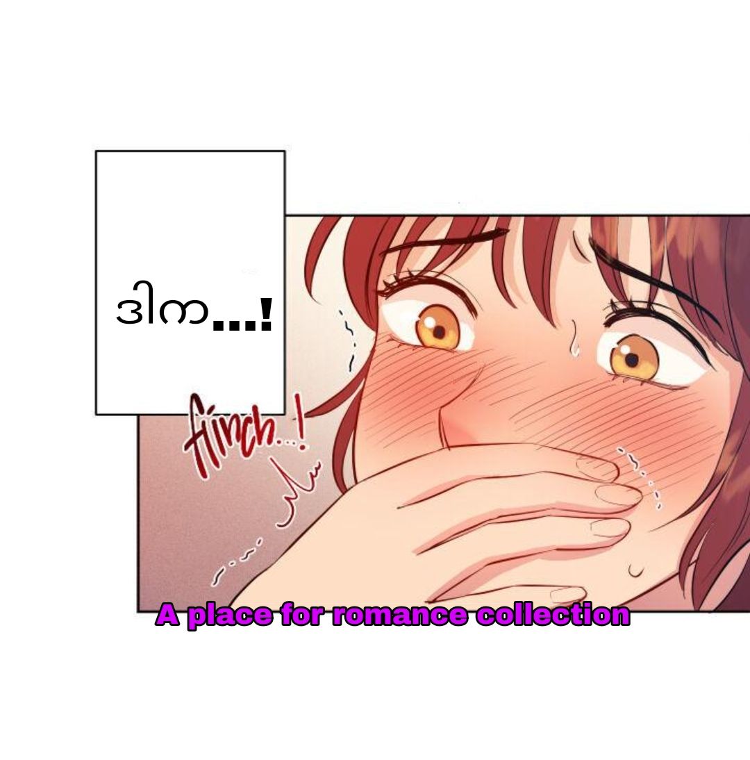 Content Image