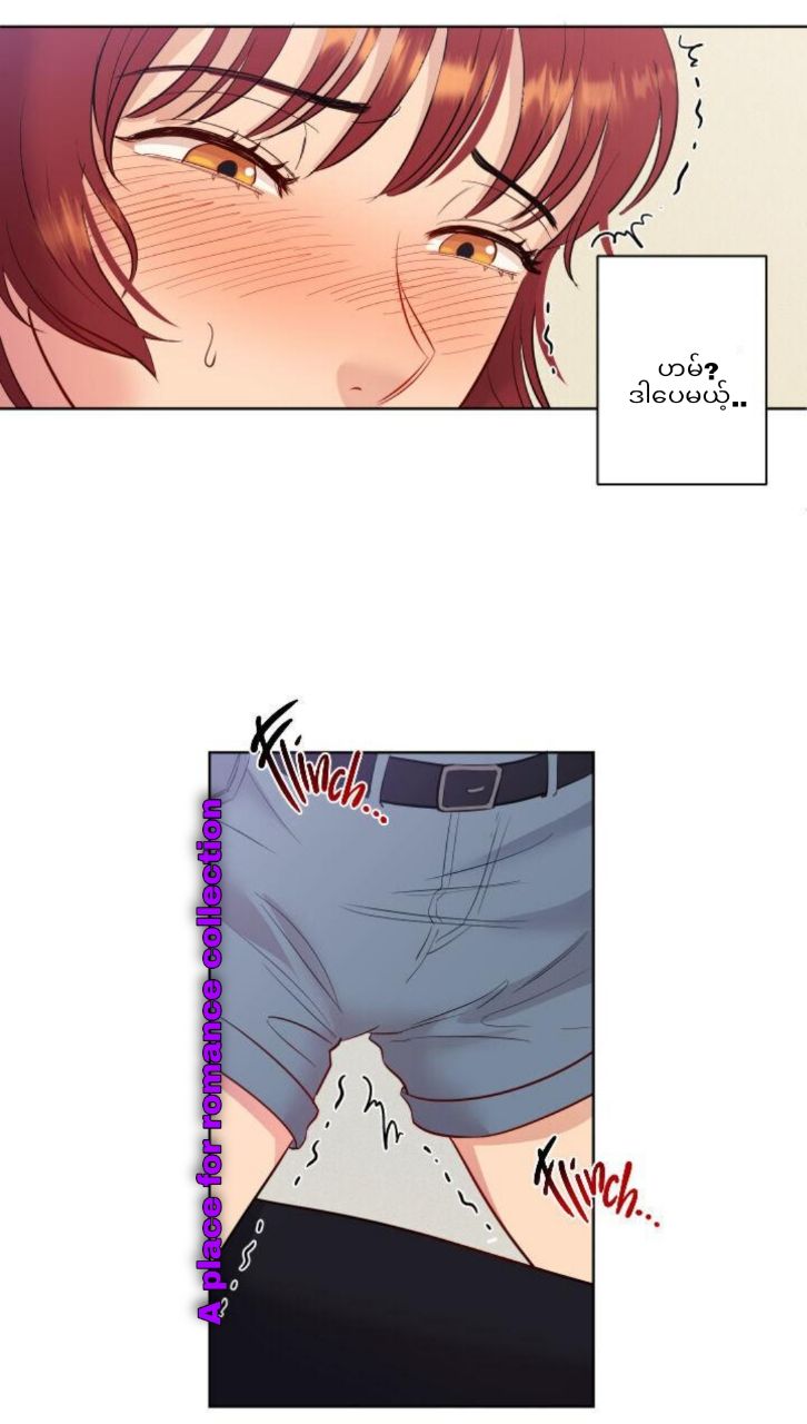 Content Image