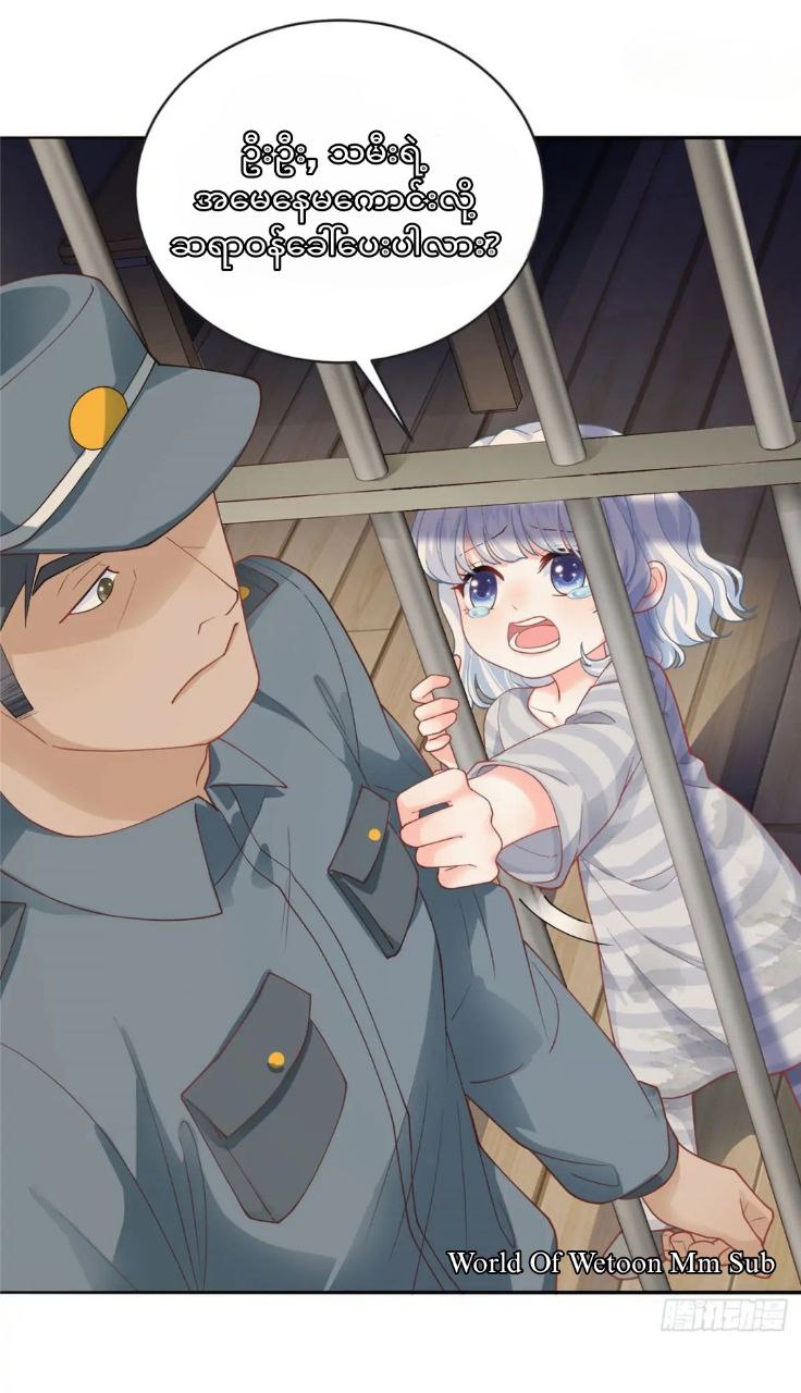 Content Image
