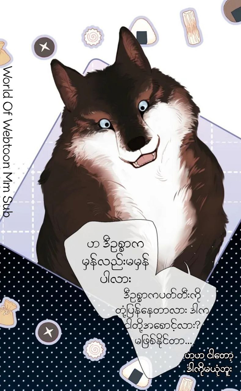 Content Image