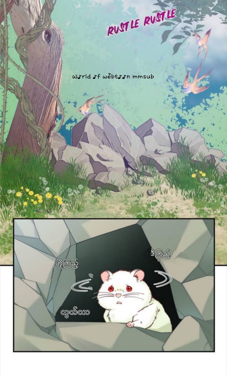 Content Image
