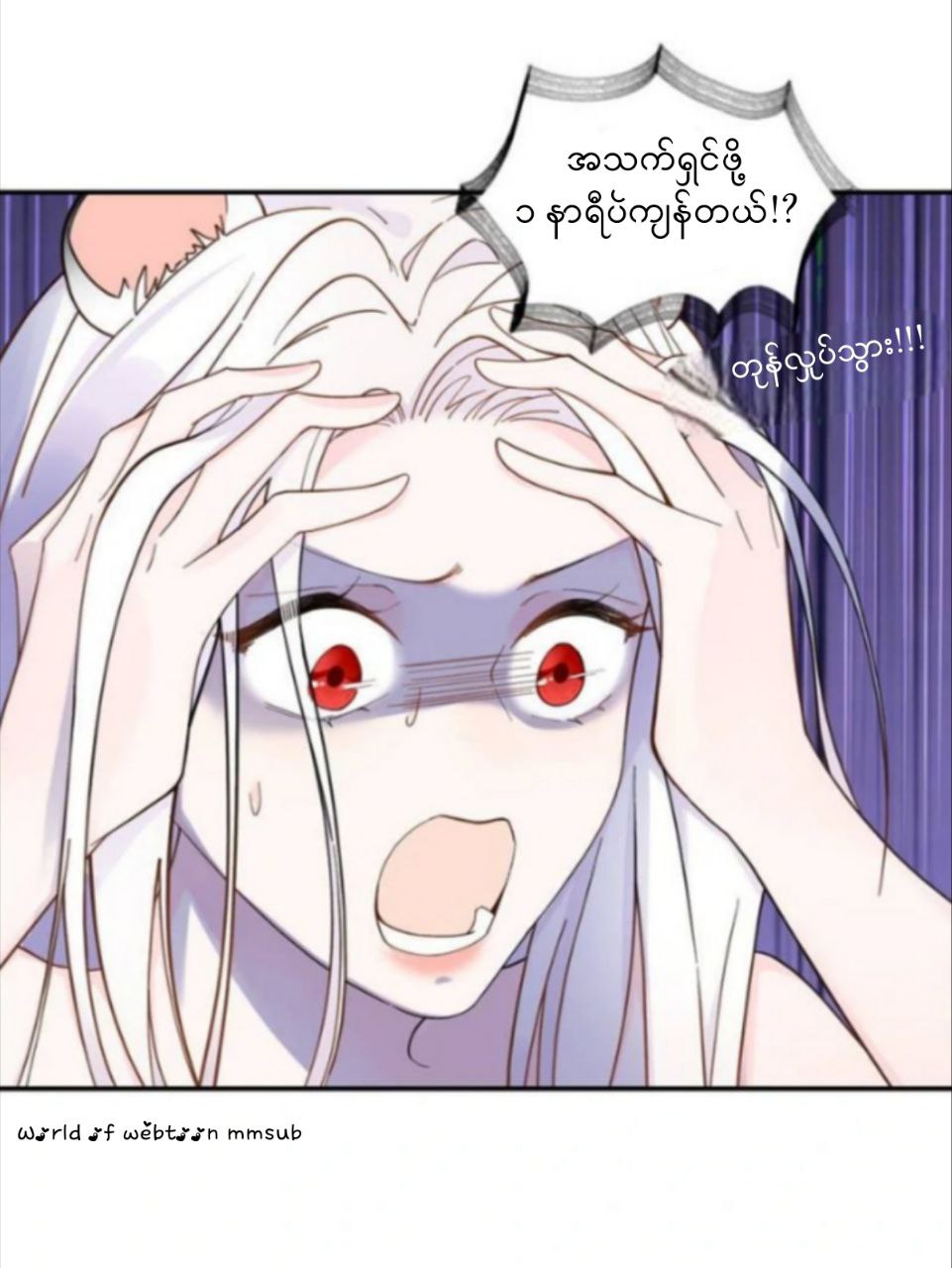 Content Image