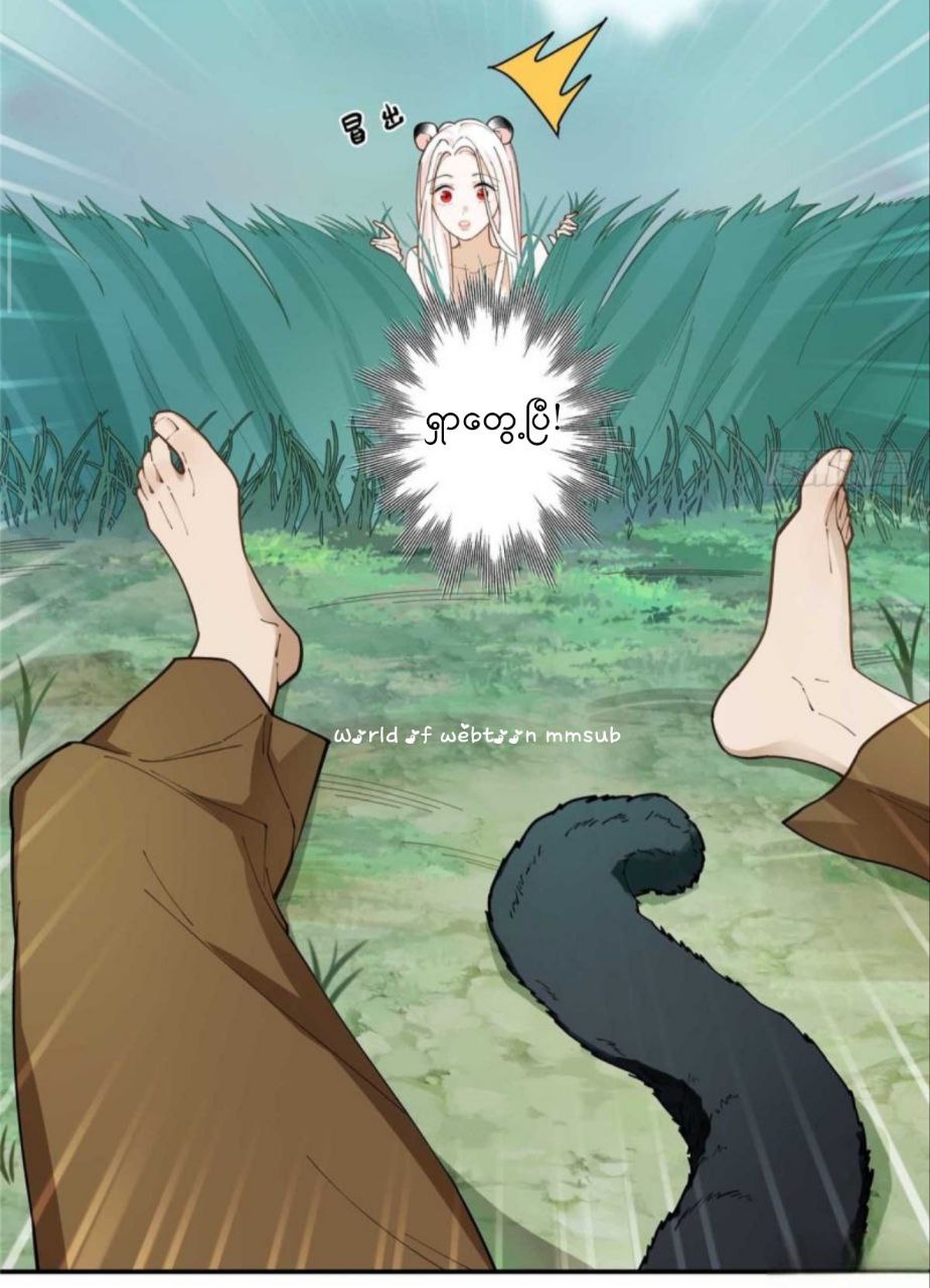 Content Image