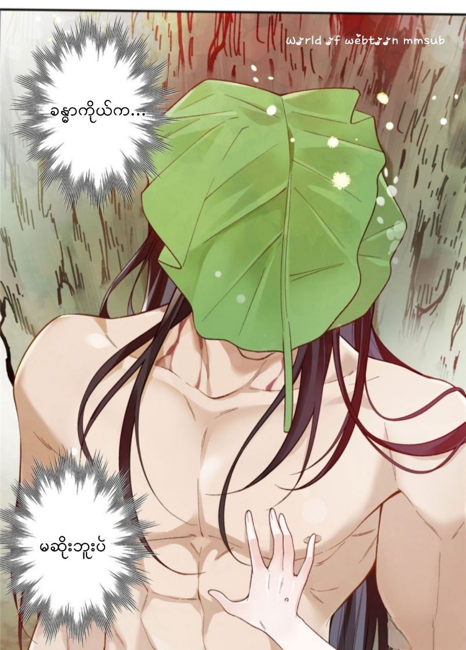 Content Image