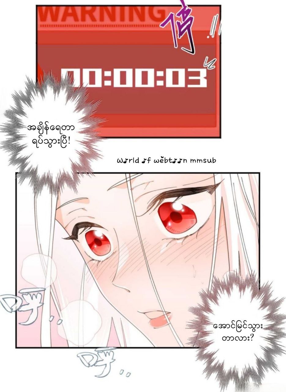 Content Image